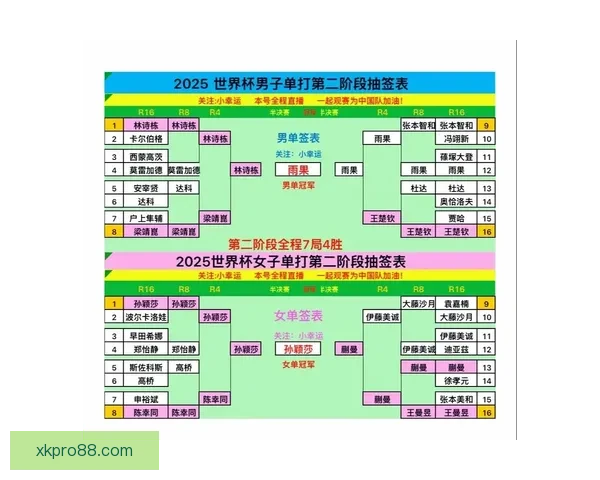 世界杯胜负竞猜技巧揭秘助你精准预测赛果提高赢率